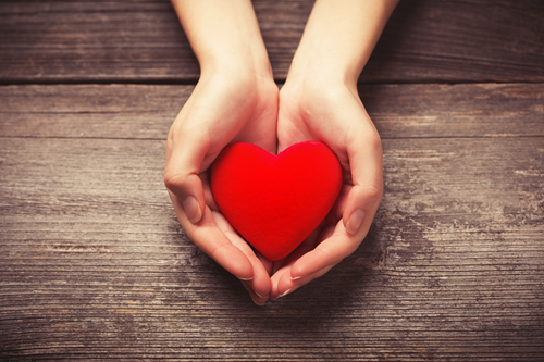 A photo of two hands cupping a plush red heart