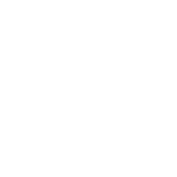 Icon showing a figure of a person walking