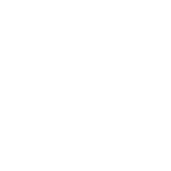 Icon showing a lotus flower